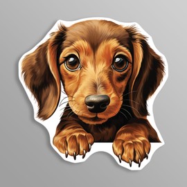 Peeking Sticker Decals - 20 Breeds - Cute Car Window and Bumper Stickers - 5 Inch Vinyl Waterproof Dog Lover Decals (Dachshund)