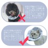 WZ PET Soft Elizabethan Collar for Dogs and Cats, Post-surgery