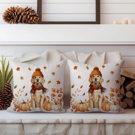 NUTEEN Fall Pillow Covers 18x18 Inch Set of 2 Golden Retriever Autumn Decorations for Home Outdoor Thanksgiving Pumpkin Decor Decorative Throw Pillow Cases for Couch