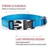 Reflective Dog Collar with Buckle Adjustable Safety Nylon Collars for