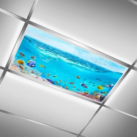 Sunnyhut 2 Pcs Fluorescent Light Covers for Ceiling, Sea Fish Magnetic Covers With 10 Magnets, Filters for Classroom Home Office Drop Ceiling Lamp Decor 4 x 2 Feet