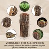 DECHOUS Natural Cork Bark for Reptile Hideout Round Cork Bark