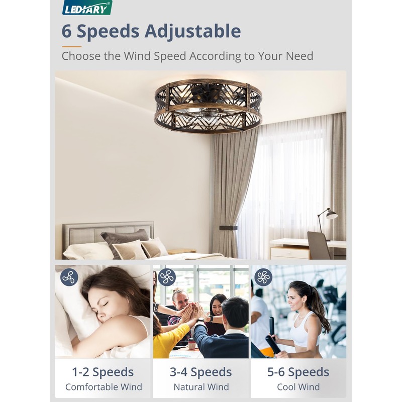 LEDIARY 20" Caged Ceiling Fan with Light, Small Flush Mount,