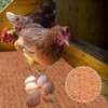 JOYIAL 10 Pack Chicken Nest Box Liners,Premium Laying Hen Nesting