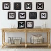 Real Butterfly Framed Handmade, Real Butterfly Specimen Shadow Box Collection,