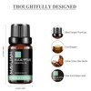 MAYJAM Essential Oil Eucalyptus Aroma Oil 100% Natural Essential Oil