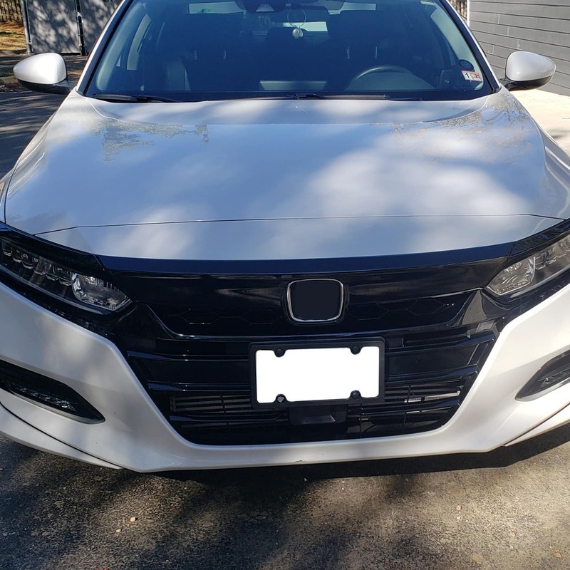 ECOTRIC Front Grille & Eyelid Cover Set Compatible With 2018-2020