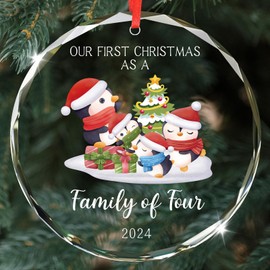 Our First Christmas as a Family of Three Ornament 2024, Unique Christmas Ornament for Christmas Tree Decorations 2024, Crystal Ornament Gift for Family Xmas (Penguin 4)