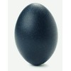 Emu Eggshell
