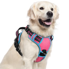 rabbitgoo Dog Harness for Large Dogs, No Pull Pet Vest with 3 Buckles, Adjustable Soft Padded Pet Harness with Easy Control Handle and Reflective Strips, Rose Pink & Blue, XL