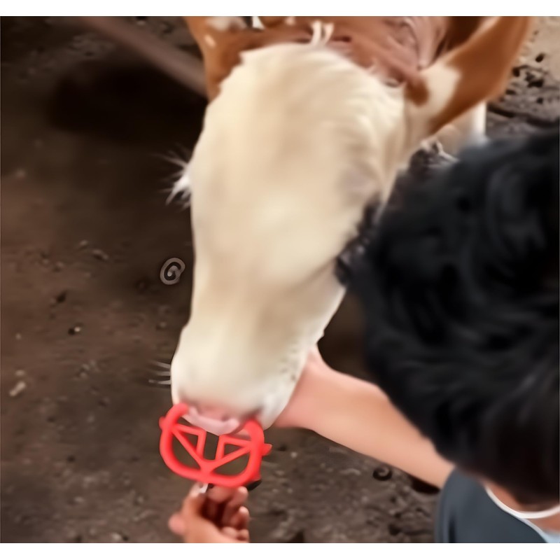 Cattle Nose Ring Set, 10 Pack, Red Plastic Weaning Tool,