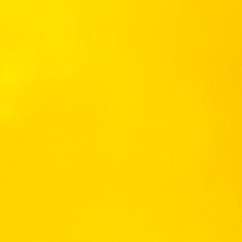 Liquitex Basics Acrylic Fluid Acrylic Paint with Flowing Consistency, Quick Drying, Non-Fading, Waterproof, Water-Based, 8870433, 250 ml Bottle, Medium Cadmium Yellow Colour