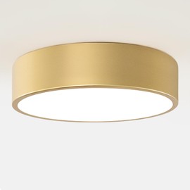 DOTCN Modern Gold Flush Mount Ceiling Light, 12 inch 2-Light Modern Round Close to Ceiling Lighting Fixtures, Minimalist Ceiling Lamp for Foyer,Hallway,Kitchen Island,Bedroom,Laundry,Bathroom