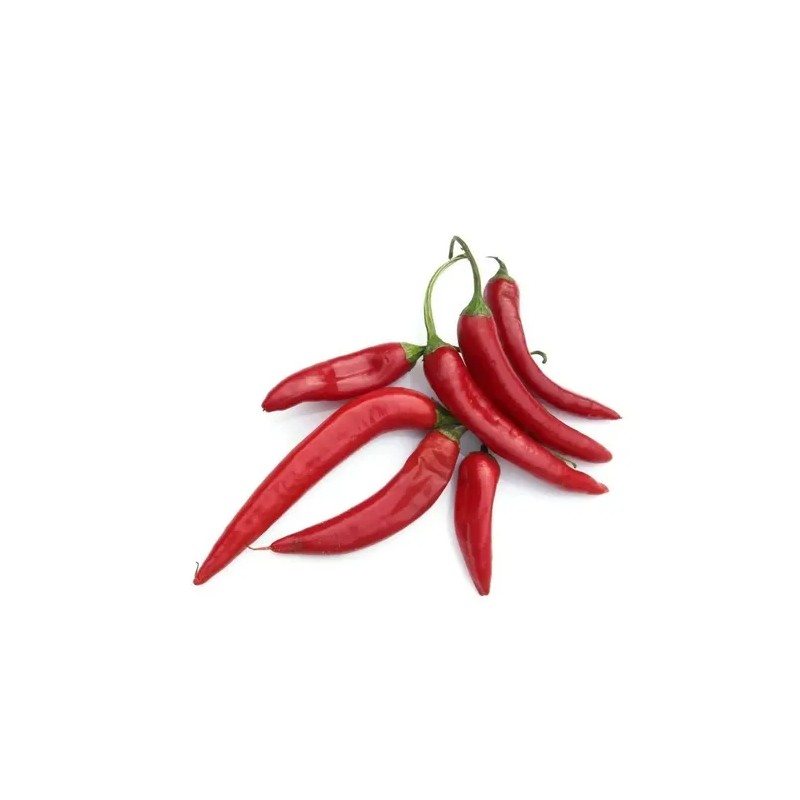25 Semillas Exóticas De Chile Picante Thai Para Tu Huerto