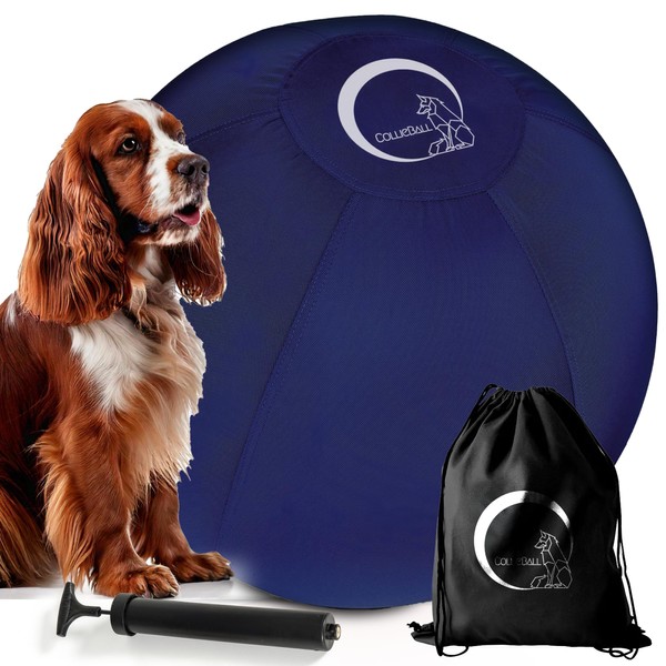 CollieBall - Herding Ball for Dogs 22″ Navy – Inflatable,