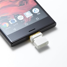 Sanwa Supply UFD-3TC32GWN USB Type-C Memory (32GB)