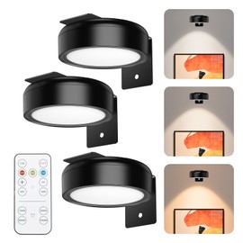 OQIMAX Wall Picture Lights