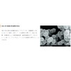 Wakasapuri Lactic Acid Bacteria, 90 Tablets, Approximately 1 Trillion Lactic