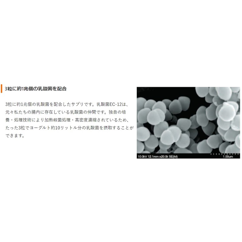 Wakasapuri Lactic Acid Bacteria, 90 Tablets, Approximately 1 Trillion Lactic