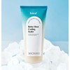 달리프 애플 민트 베러 루트 쿨링 두피 스케일러, 250g, 1개
