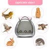 Bearded Dragon Lizard Backpack Carrier with Harness and Leash Set,