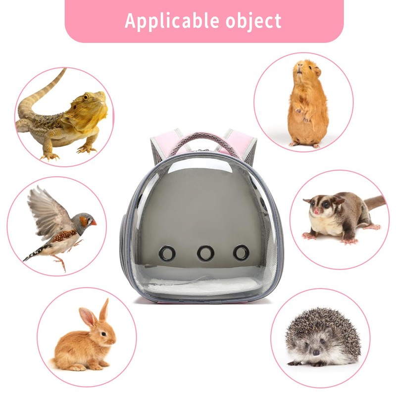 Bearded Dragon Lizard Backpack Carrier with Harness and Leash Set,