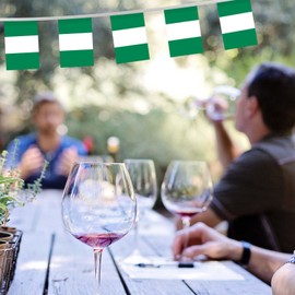 32FT Small Nigeria Pennant Flag Bunting,30 PCS Mini String Banner Stripes Nigerian Decor Rectangle for Holiday Restaurant Home Party School