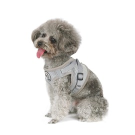 Dog Harness Set with Lead, Dog & Cat, Small Soft Vest, Adjustable Safe Control, Puppy Harness Vest & Reflective Strips, Adjustable Harness (S, Grey)
