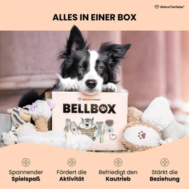 Wahre Tierliebe Bellbox All in One Dog Toy, Toy Box for Dogs, 6 x Exciting Squeaky, Chew & Rope Toys for Play and Chewing Instinct, Robust Tug Toy (6 x Pieces with Box)