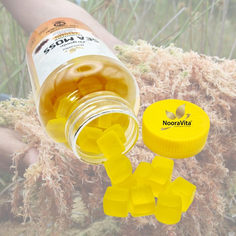 NooraVita Organic Sea Moss Gummies, 1420mg with Bladderwrack and Burdock
