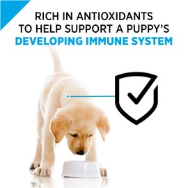 Purina Pro Plan Focus Chicken Rice Entree Canned Puppy Food (12x13oz)