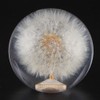 2.8in Shift Knob Crystal Real Dandelions Flowers Universal Accessory with