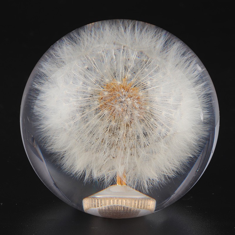 2.8in Shift Knob Crystal Real Dandelions Flowers Universal Accessory with