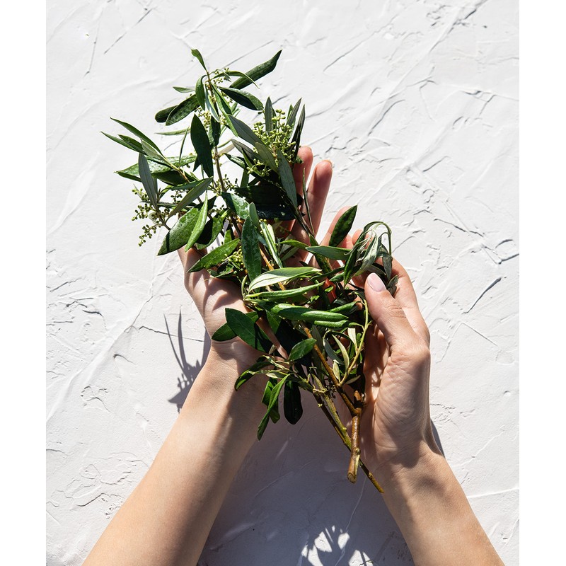 KORRES Olive & Olive Blossom feuchtigkeitsspendendes Duschgel für geschmeidige Haut,