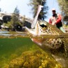 Wooden Large Artificial Popper Fish Lure Topwater Simulation Bait Fishing