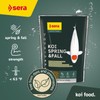 sera 1 Piece KOI Professional Spring/Autumn Food, 4.86 lb/2200 g