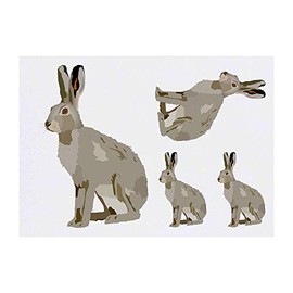 4 x 'Hare' Temporary Tattoos - Water Resistant, Skin-Safe, Non-Toxic Transfers, Mixed Sizes (TO00033065)