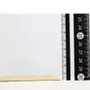 Tazy C-36S2 Heisei Coin Album Spare Mat for Standard Coins