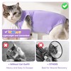 Hpetppy Cat Recovery Suit for Abdominal Wounds or Skin Diseases,Kitten