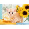 Epoch 108 Piece Jigsaw Puzzle, Cat Natsumi 7.2 x 10.0