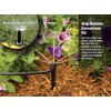 Rain Bird CNV182MBS Drip Irrigation Sprinkler Conversion Kit, 1800 Pop-Up