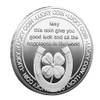 1 PCS Lucky Coin Horseshoe and Four Leaf Clover Souvenirs
