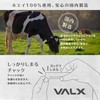 VALX バルクス ホエイ プロテイン 420g 抹茶 風味 ホエイプロテイン WPC お試し