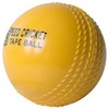 ADS Sports Wind Cricket Ball for Training & Coaching &