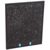 Bissell Replacement Carbon Filter for The Air400, 2520