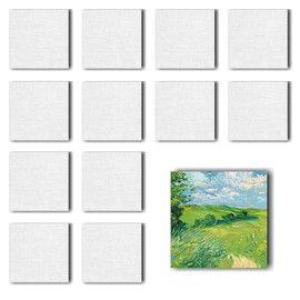 12 Piece Canvas Set for Painting - Magnetic Cotton Canvases for Acrylic, Oil & Gouache Paints Including Texture Paste (Square 12)