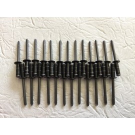 Coleman Fleetwood Pop Up Camper - Small Head 3/16 Rivets ~(25count )~ 5/8" body