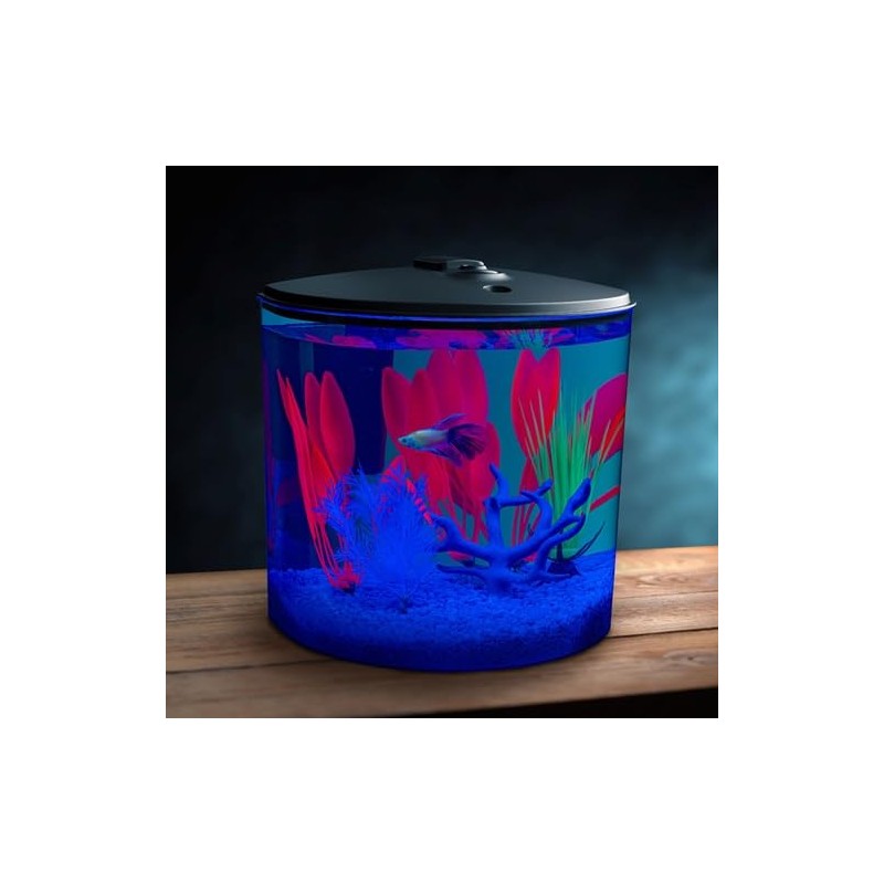 GloFish 3.5 Gallon Aquarium Kit with LED Lighting and Tetra