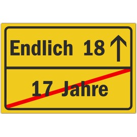18th Birthday Sign - Funny Gifts or Decoration - Party Decoration Gift Ideas for 18th - Gift for Girls and Boys - 30 x 20 cm x 3 mm Plastic - BerpaHome