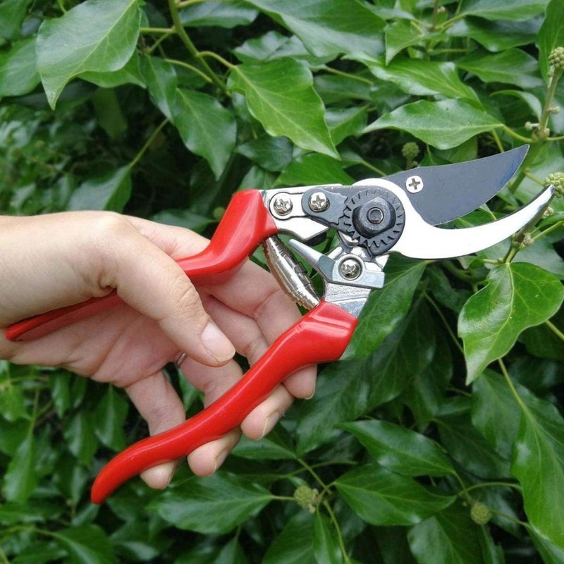 Burgon & Ball Left-Handed Bypass Secateur, 21 cm Length